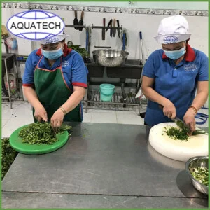Suất Ăn Công Nghiệp Aquatech – Công Ty TNHH Sản Xuất Thương Mại Dịch Vụ Aquatech