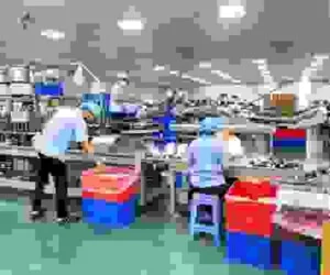 Cung ứng Lao Động Hưng Thịnh Phú – Công Ty TNHH Đầu Tư Phát Triển Hưng Thịnh Phú Group