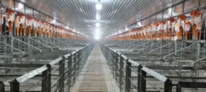 Tấm Đan Bê Tông KCF – Công Ty Cổ Phần Việt Nam KCF