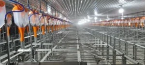 Tấm Đan Bê Tông KCF – Công Ty Cổ Phần Việt Nam KCF