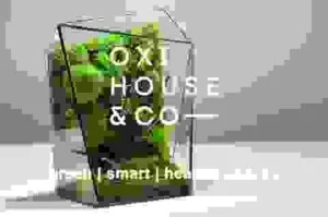 Công Ty Cổ Phần Jungle District