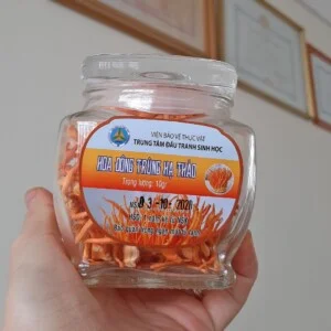 Trung Tâm Đấu Tranh Sinh Học – Viện Bảo Vệ Thực Vật