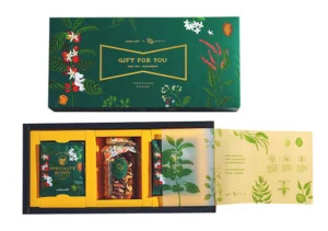 Bao Bì Saha Box – Công Ty Cổ Phần Saha Box