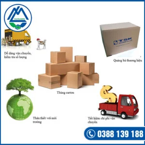 Chi Nhánh Bến Tre – Công Ty TNHH Việt Sài Gòn