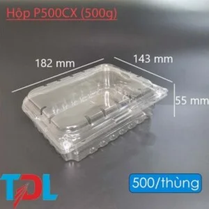 Bao Bì Tân Đại Long – Công Ty Cổ Phần Đầu Tư Phát Triển Tân Đại Long