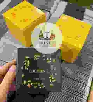 In Trí Việt – Công Ty TNHH Đầu Tư Và Phát Triển In Trí Việt