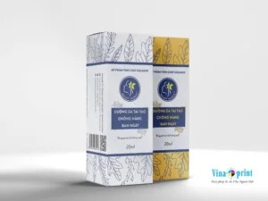 In ánh Sao Băng – Công Ty TNHH ánh Sao Băng