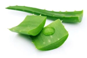 Phụ Gia Thực Phẩm Sài Gòn Chem – Công Ty TNHH Xuất Nhập Khẩu Sài Gòn Chem