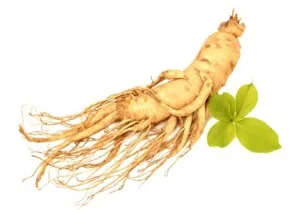 Phụ Gia Thực Phẩm Sài Gòn Chem – Công Ty TNHH Xuất Nhập Khẩu Sài Gòn Chem