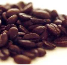 Công Ty TNHH Thương Mại Dịch Vụ Hoàng Anh Huy