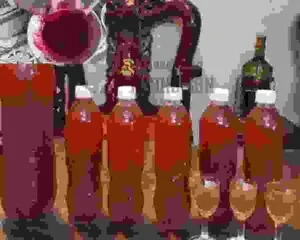 Nhung Hươu Hương Sơn