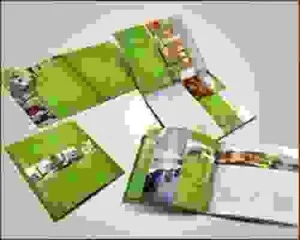 Công Ty TNHH Công Nghệ In Đông Kinh