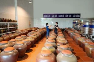 Cơ Sở Sản Xuất Rượu Truyền Thống Vân Tuy