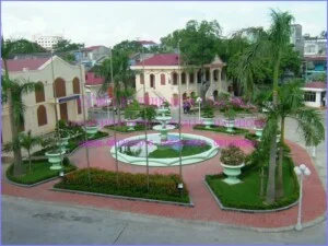 Công Ty Trách Nhiệm Hữu Hạn Hoa Phượng