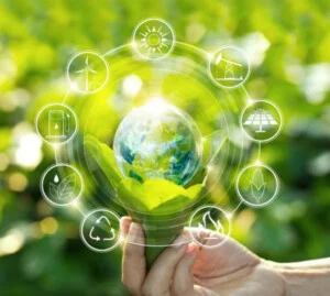 Tư Vấn Môi Trường Sài Gòn – Công Ty Cổ Phần Tư Vấn Môi Trường Sài Gòn