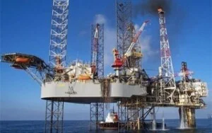 Công Ty Cổ Phần Đầu Tư Xuất Nhập Khẩu Và Thương Mại Smart Việt Nam