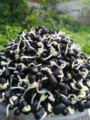 Công Ty TNHH Đầu Tư Và Thương Mại Hồng Lâm