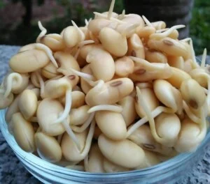 Công Ty TNHH Đầu Tư Và Thương Mại Hồng Lâm