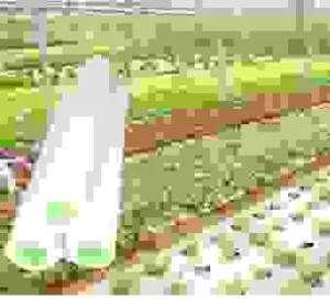 Công Ty TNHH Một Thành Viên Khoa Lâm Phát