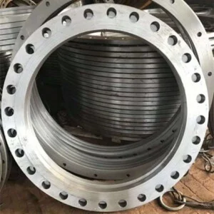 XIAMEN QISHINE IMP.&EXP. CO., LTD.