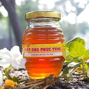 Mật Ong Phúc Tùng – Công Ty TNHH Xuất Nhập Khẩu Mật Ong Phúc Tùng