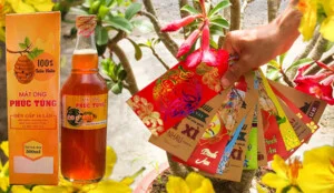 Mật Ong Phúc Tùng – Công Ty TNHH Xuất Nhập Khẩu Mật Ong Phúc Tùng