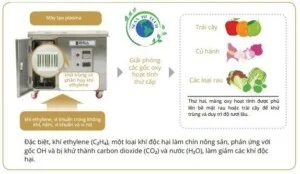 Thiết Bị Giữ Tươi Nông Sản Plazen – Công Ty Cổ Phần Xuất Nhập Khẩu Thiết Bị SEAN HI TECH