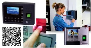 Công Ty TNHH Tầm Nhìn Toàn Cầu