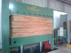 Máy Chế Biến Gỗ Ngọc Chương – Công Ty TNHH Xuất Nhập Khẩu Thương Mại Ngọc Chương