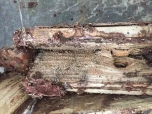 Công Ty TNHH Dịch Vụ Thương Mại 36 Hoàn Mỹ