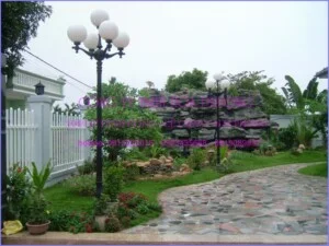 Công Ty Trách Nhiệm Hữu Hạn Hoa Phượng