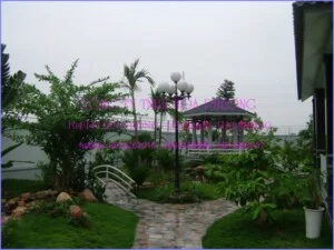 Công Ty Trách Nhiệm Hữu Hạn Hoa Phượng