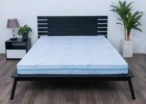 Nệm Cao Su Thắng Lợi – Công Ty TNHH AVATEX Việt Nam