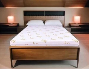Nệm Cao Su Thắng Lợi – Công Ty TNHH AVATEX Việt Nam