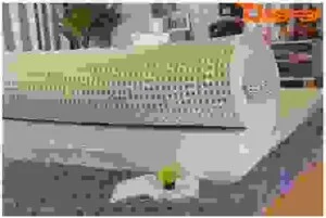 Nệm Công Trình, Khách Sạn Daafar – Công Ty Cổ Phần Nệm Daafar