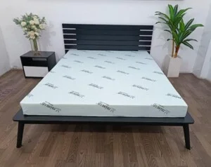 Nệm Cao Su Thắng Lợi – Công Ty TNHH AVATEX Việt Nam