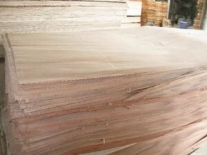 Thiết Bị Ngành Gỗ Thanh Bình Minh – Công Ty TNHH Gỗ Thanh Bình Minh