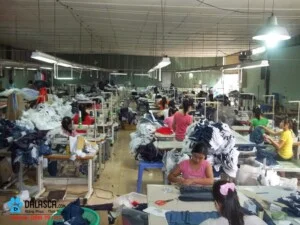 Công Ty Cổ Phần Amalink