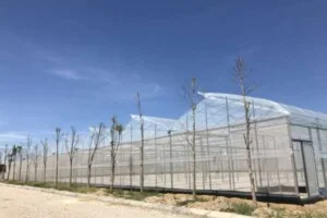 Nhà Kính WPVN – Công Ty TNHH Watanabe Pipe Việt Nam