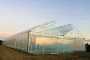 Nhà Kính WPVN – Công Ty TNHH Watanabe Pipe Việt Nam