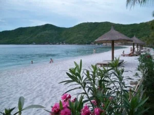 Vé Máy Bay Hải Nhung – Công Ty TNHH Thương Mại Hải Nhung