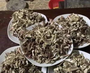 Nhung Hươu Hương Sơn