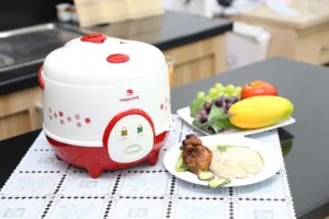 Công Ty TNHH Nhựt SAGO