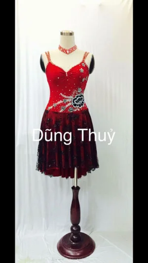 Dũng Thủy Dance Sport – Công Ty TNHH DT