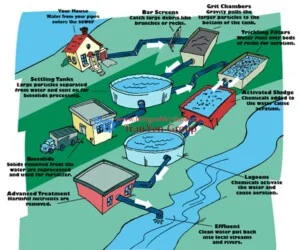 Môi Trường Đại Dương Xanh – Công Ty CP TV Và XD Môi Trường Đại Dương Xanh