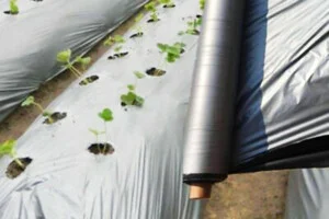 ống Giấy Eco Green Việt Nam – Công Ty TNHH Sản Xuất Thương Mại Eco Green Việt Nam
