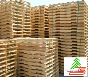 Pallet Á Châu – Công Ty Cổ Phần Wood Pallet Á  Châu