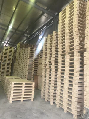 Công Ty Cổ Phần Lâm Sản Thăng Long