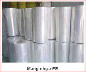 Công Ty TNHH Sản Xuất Thương Mại Xuất Nhập Khẩu Kim Thành Phát