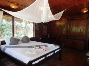 Công Ty TNHH MTV Du Lịch Nghỉ Dưỡng Sinh Thái Cồn Tân Phong